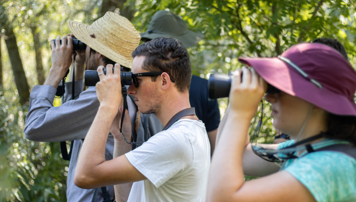 Découverte des chants d'oiseaux à Saint-Gengoux-le-National